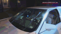 当美国警察遇到有创造力的司机……